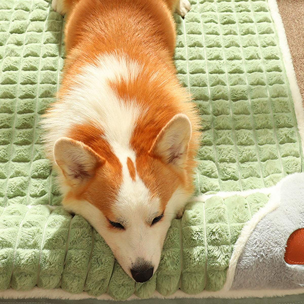 Thick Pet Sleeping Mat With Removable Cover