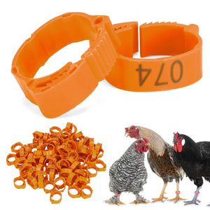 100PCS Adjustable Bird Leg Rings Numbered