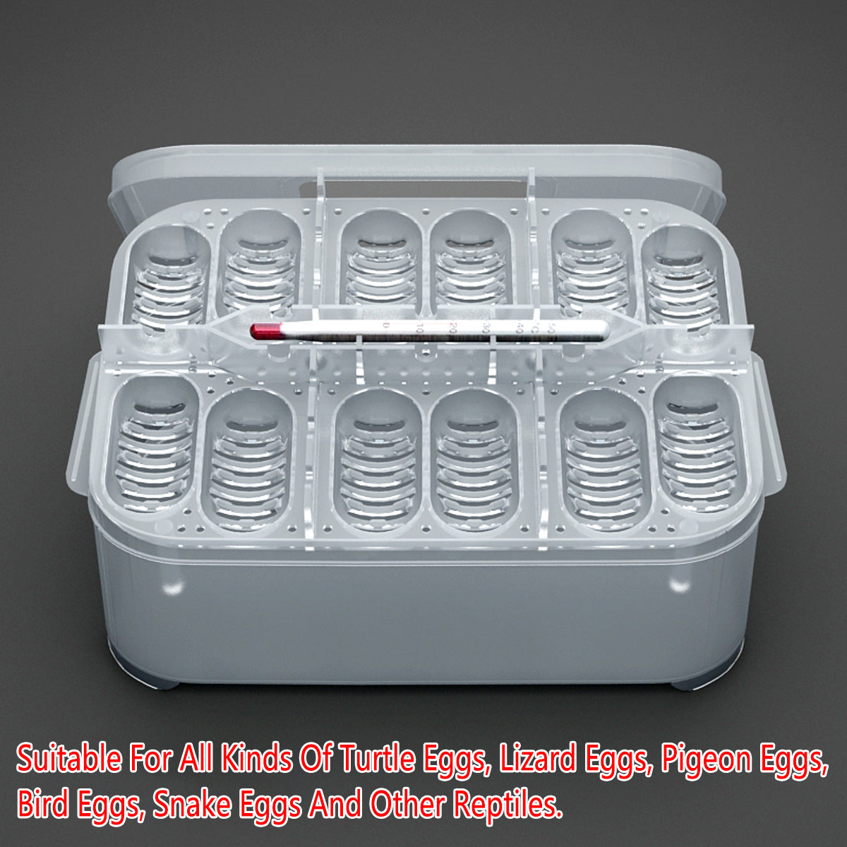 Lizard Hatching Box 12 Holes Reptile Egg Incubator