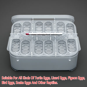 Lizard Hatching Box 12 Holes Reptile Egg Incubator