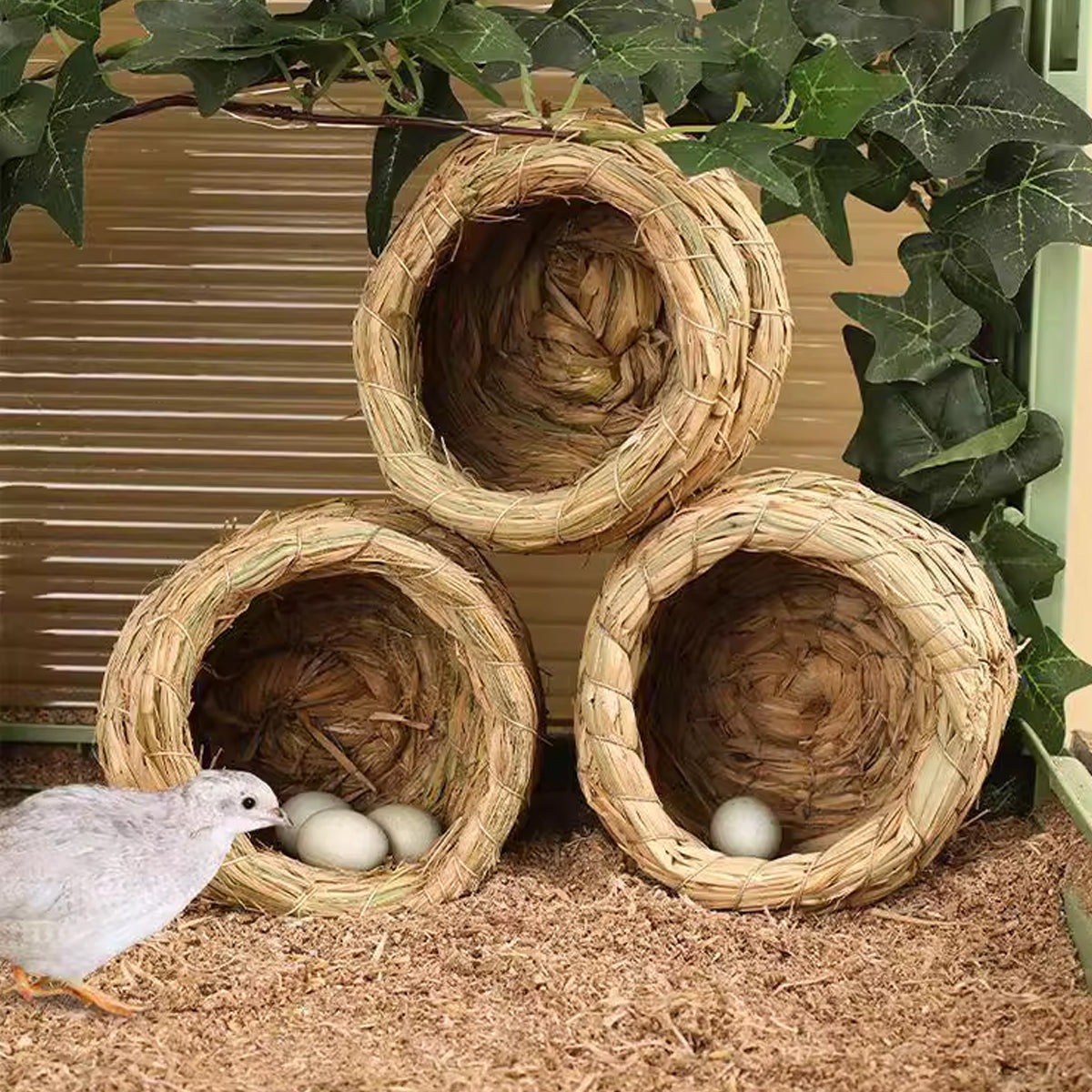 6PCS Handwoven Straw Bird Nest 12cm Natural Grass