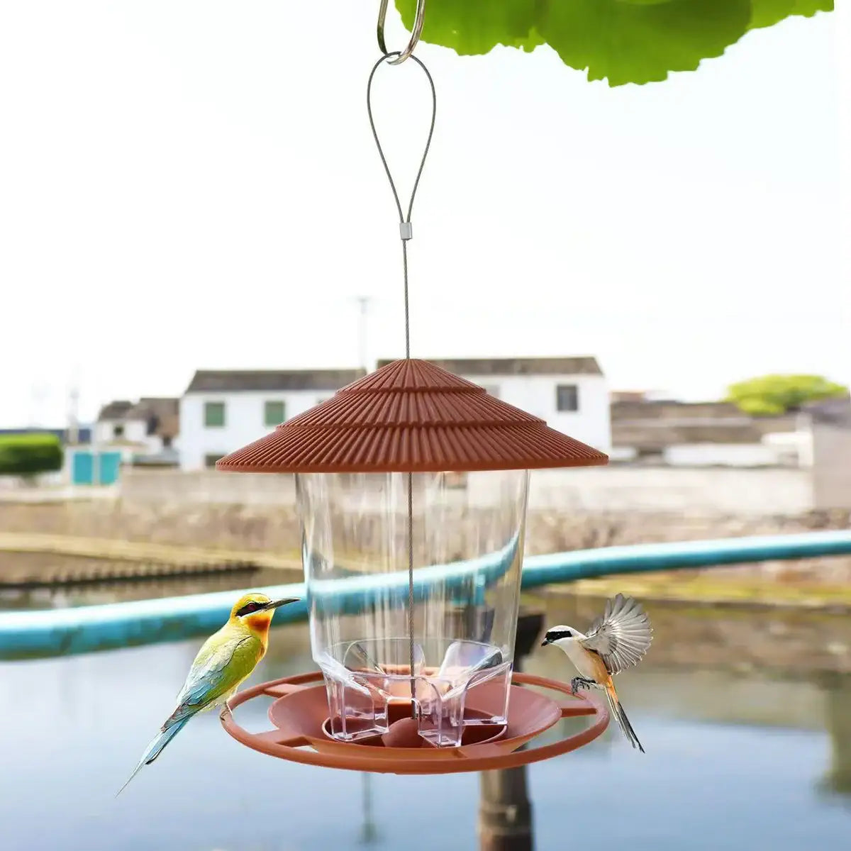 Garden Outdoor Squirrel-Proof Hanging Bird Feeder with Large Capacity