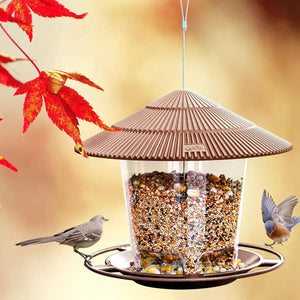 Garden Outdoor Squirrel-Proof Hanging Bird Feeder with Large Capacity