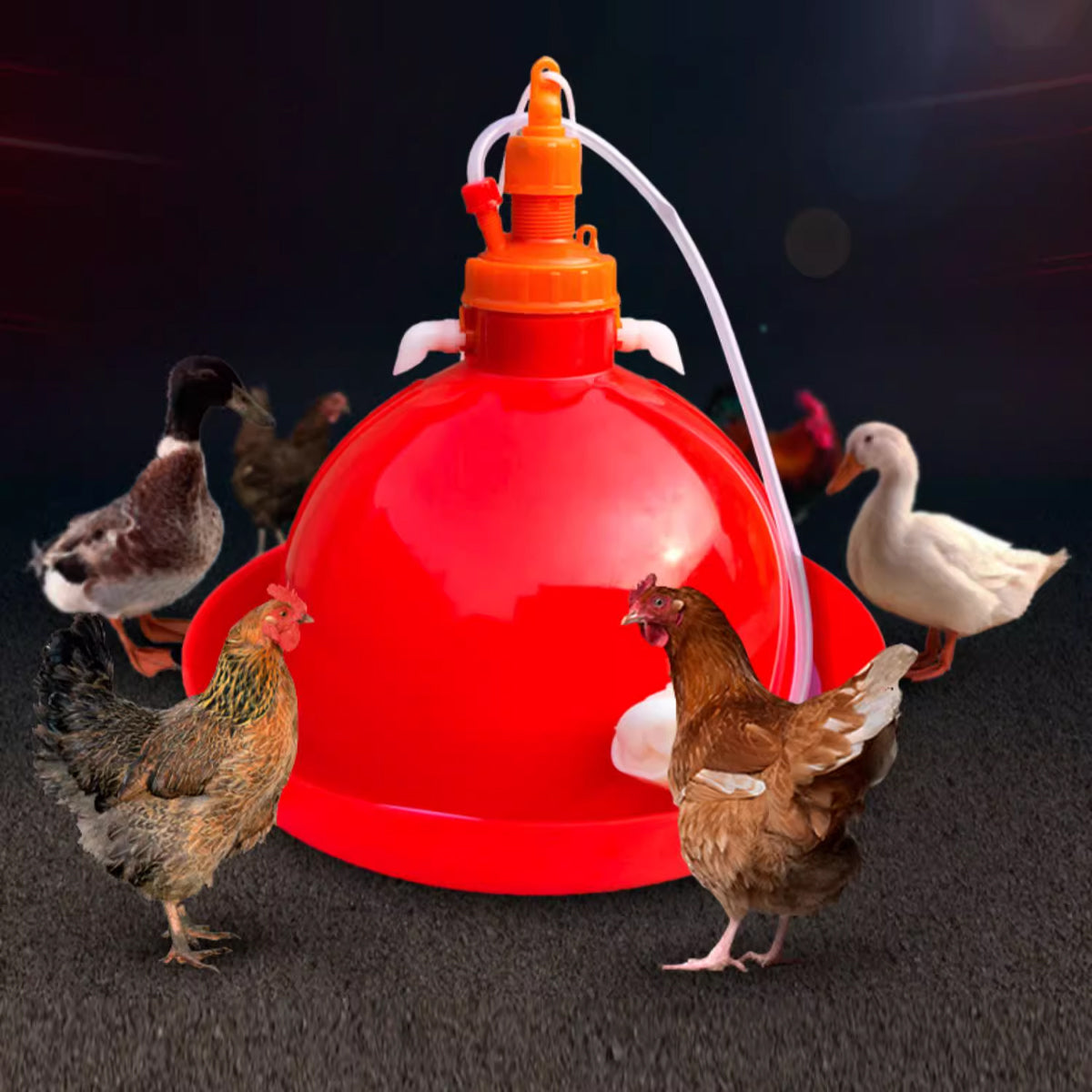 Automatic Poultry Waterer With Hose 40cm