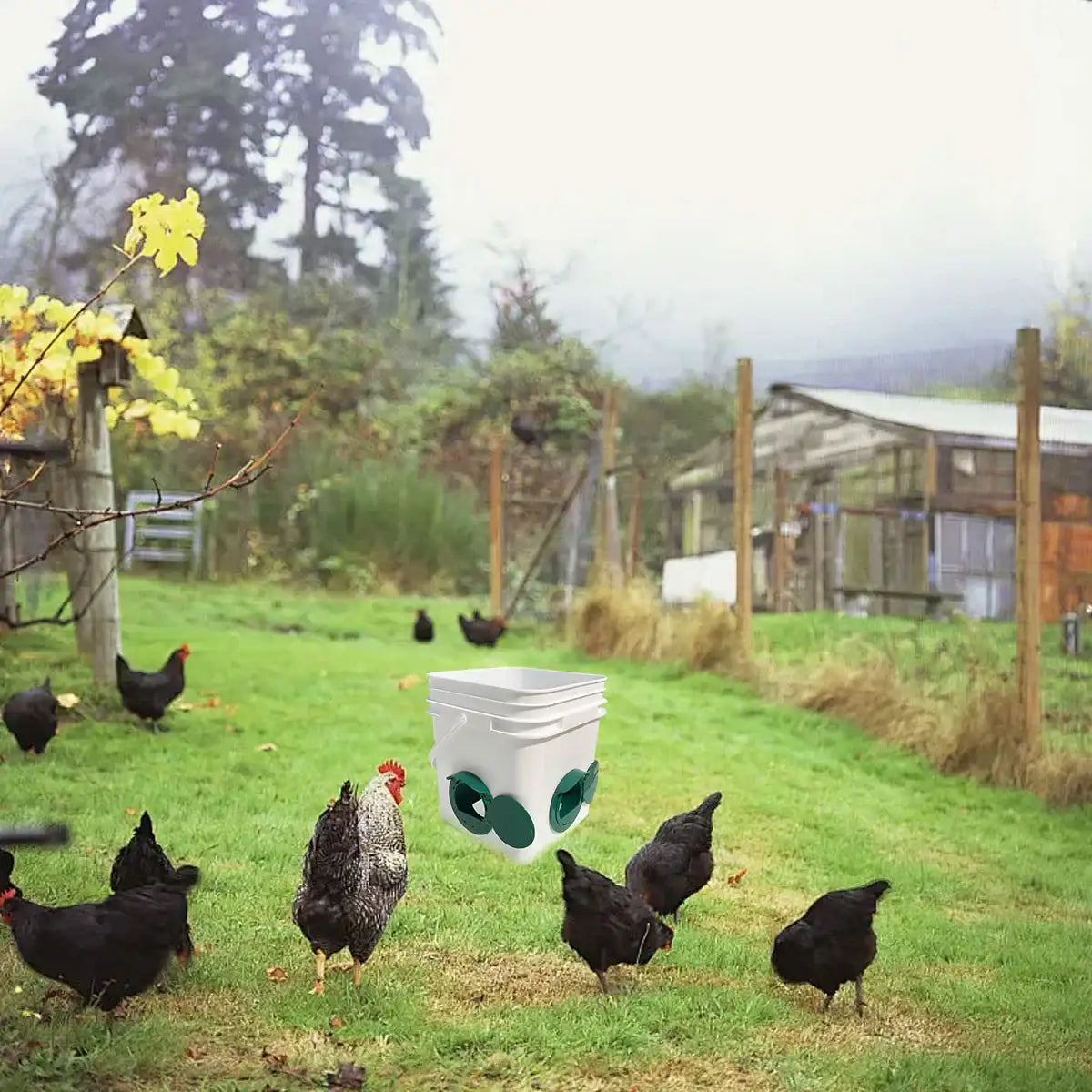 5PCS Automatic Chicken Feeder Ports with Rain Hood for Poultry DIY