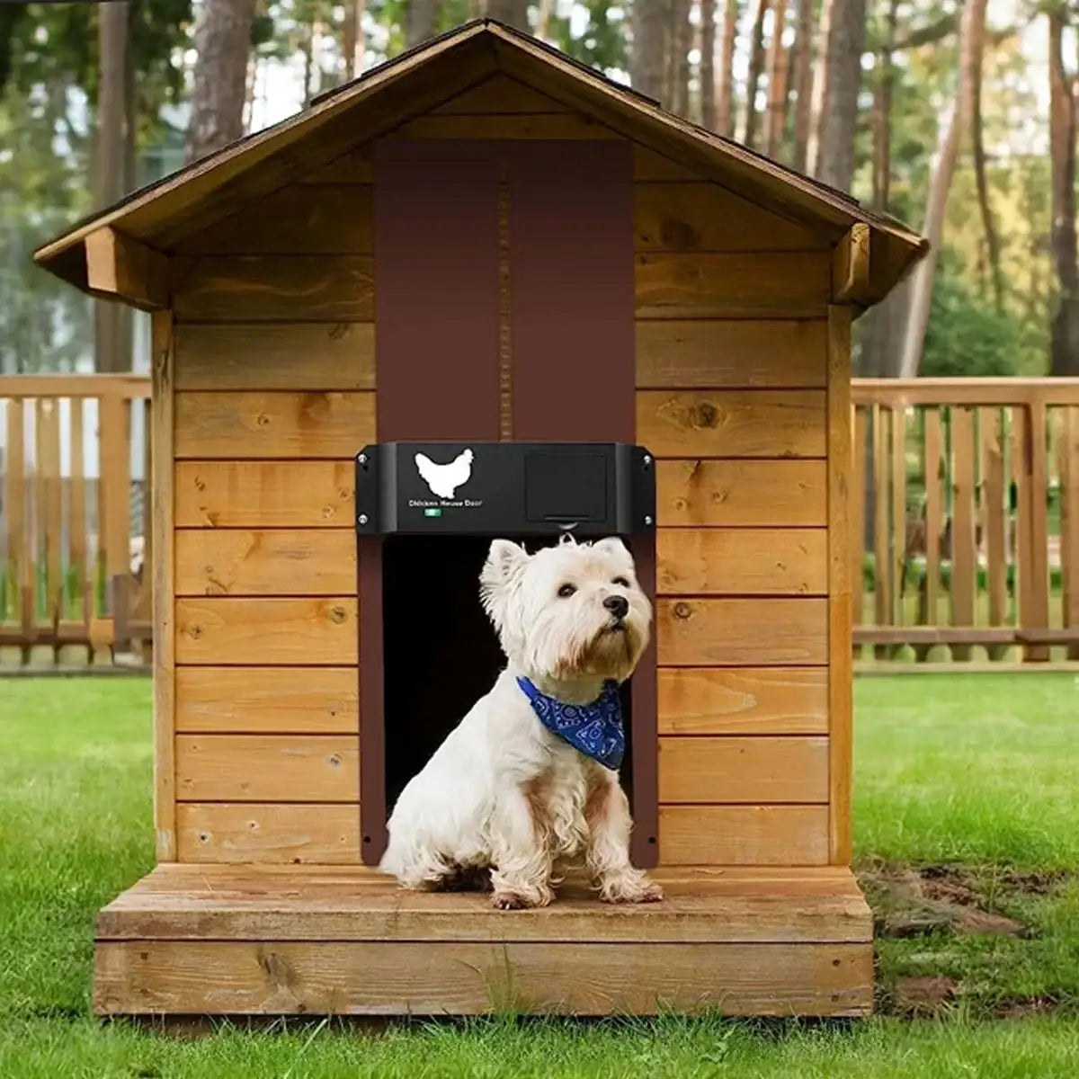 Light Sensor Automatic Chicken Coop Door Battery Powered & Waterproof