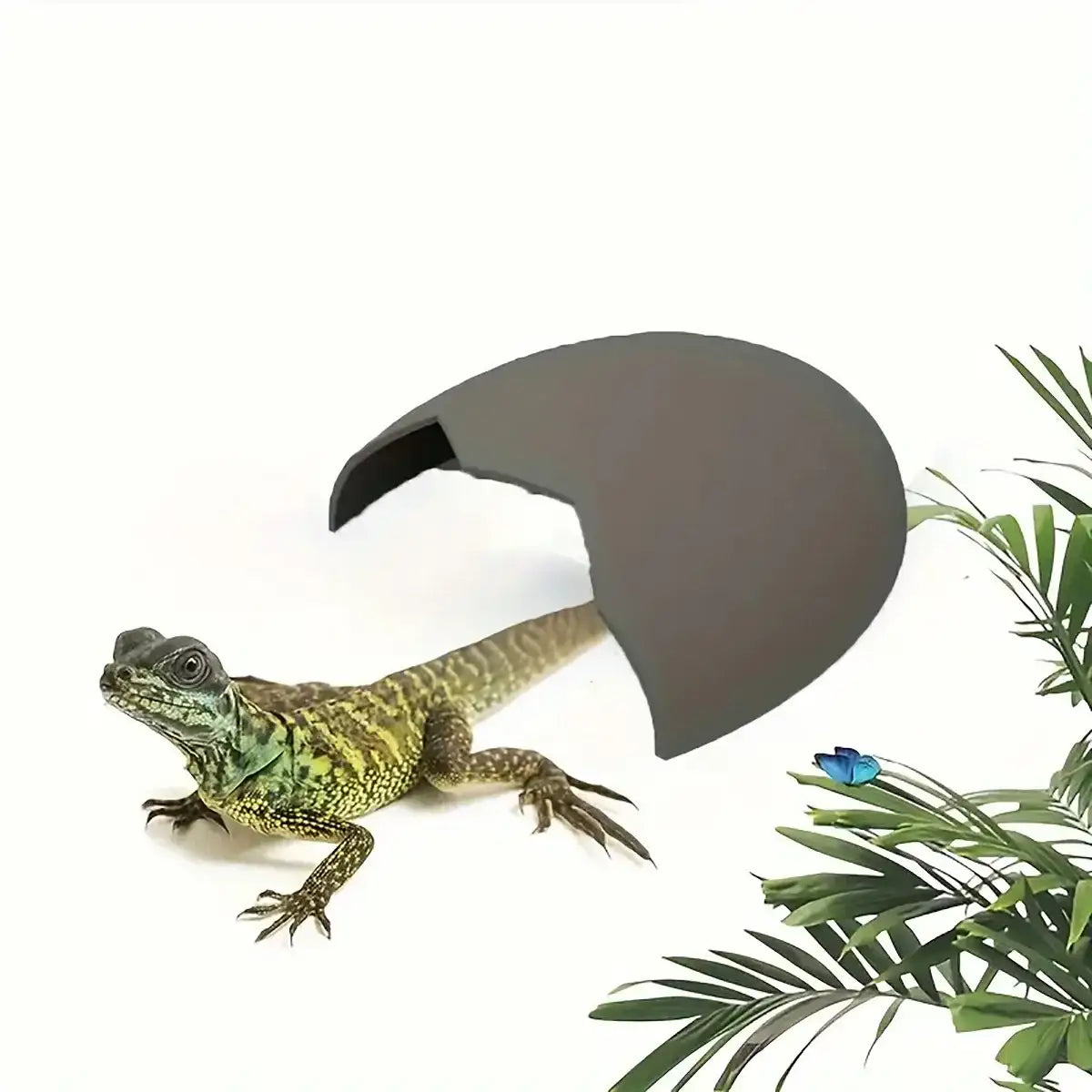 Natural Reptile Cave Hideout for Lizards and Terrarium Pets