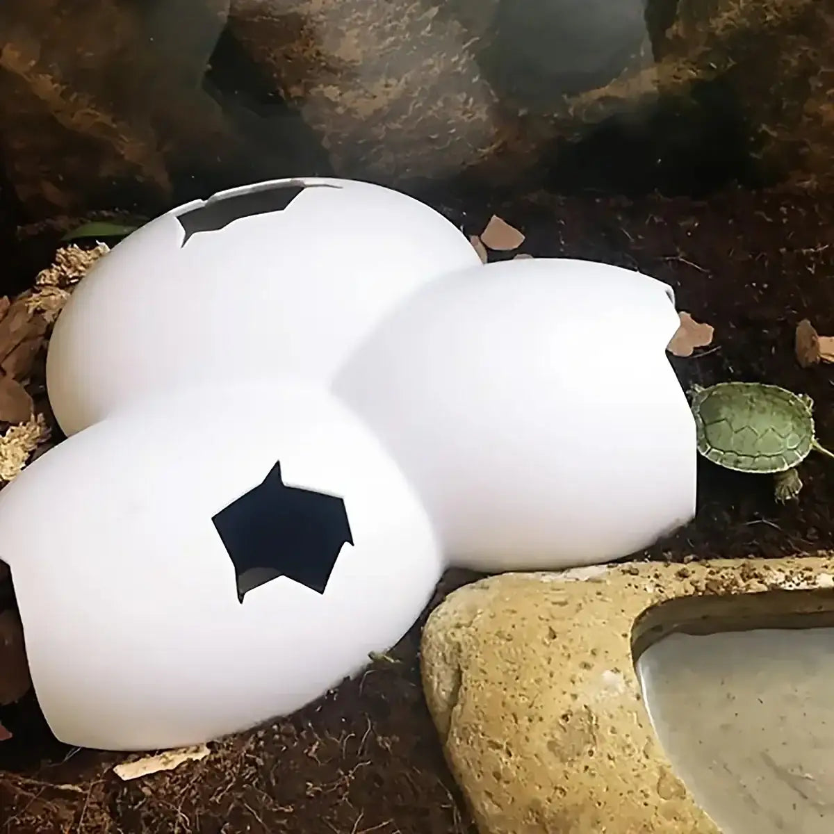 Natural Reptile Cave Hideout for Lizards and Terrarium Pets