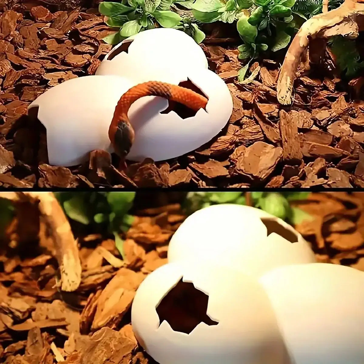 Natural Reptile Cave Hideout for Lizards and Terrarium Pets