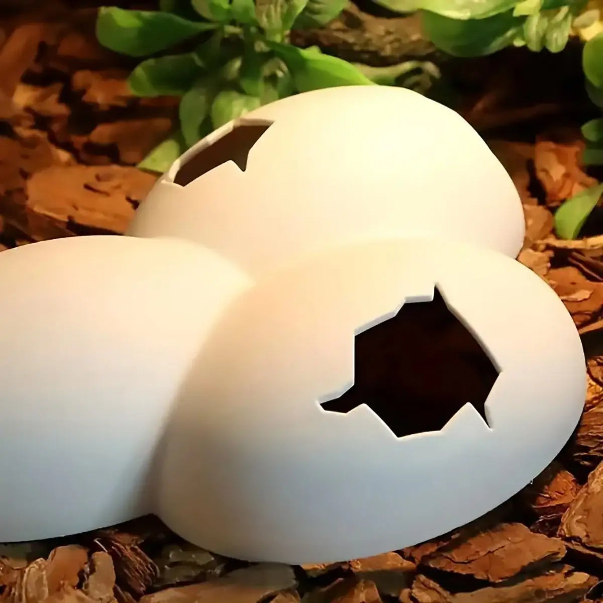 Natural Reptile Cave Hideout for Lizards and Terrarium Pets