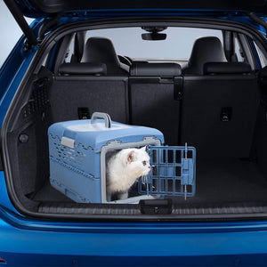 Foldable Pet Carrier Portable Travel Box For Small Pets