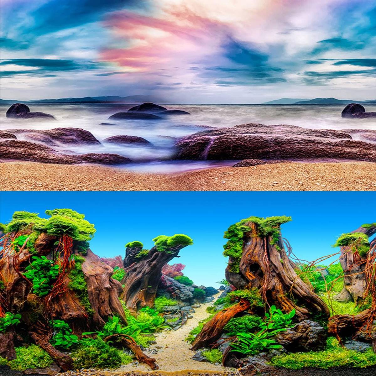 Double-Sided Aquarium Background Poster for Fish Tanks (2 Designs)