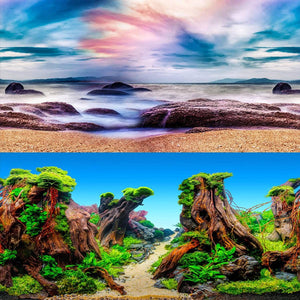 Double-Sided Aquarium Background Poster for Fish Tanks (2 Designs)