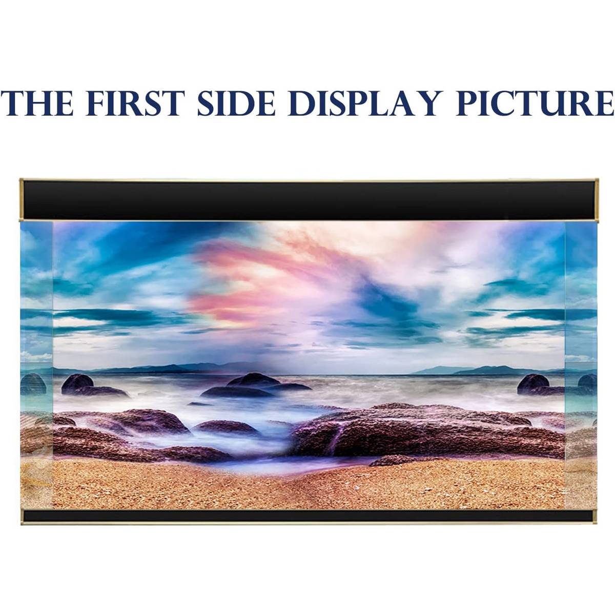 Double-Sided Aquarium Background Poster for Fish Tanks (2 Designs)