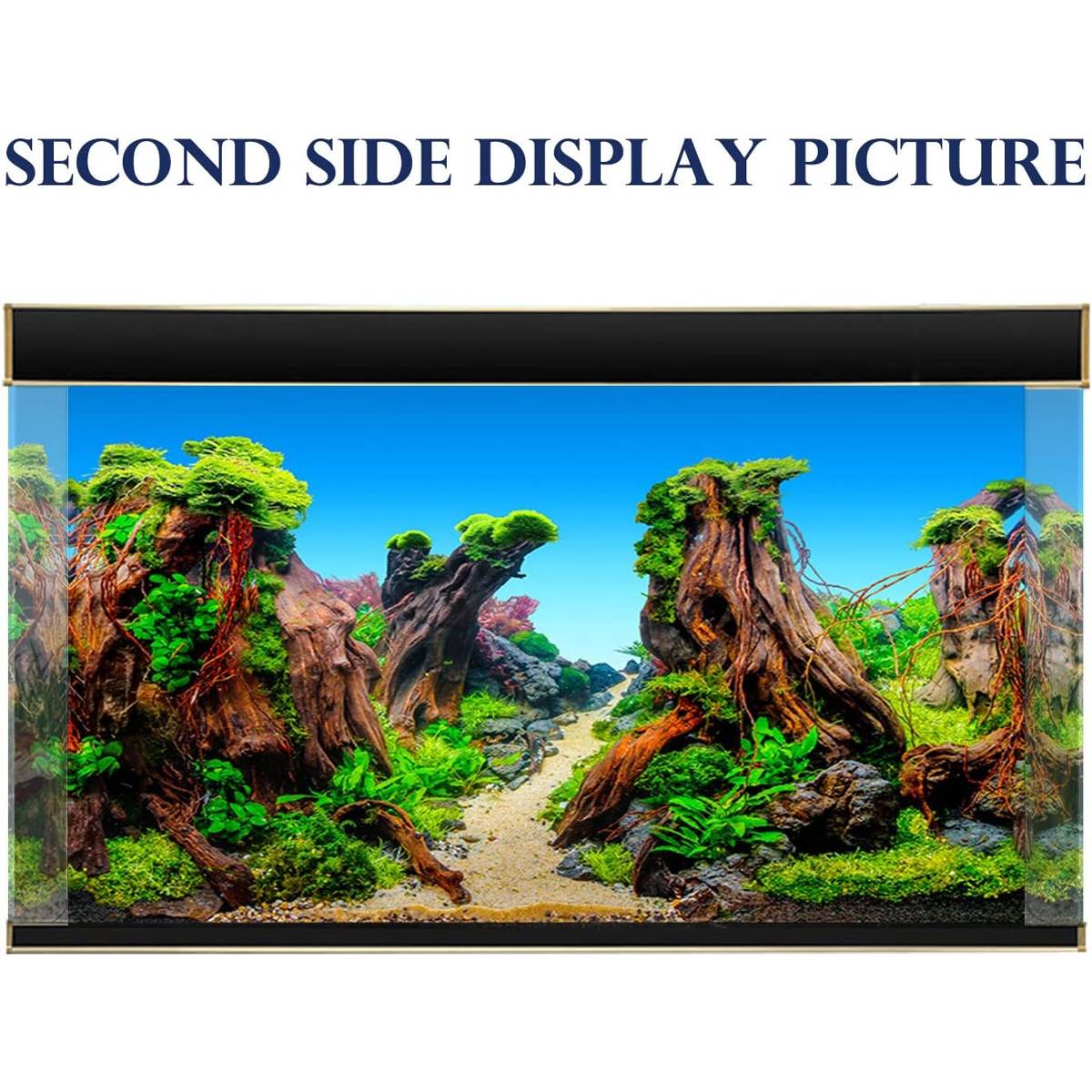 Double-Sided Aquarium Background Poster for Fish Tanks (2 Designs)