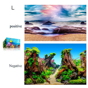 Double-Sided Aquarium Background Poster for Fish Tanks (2 Designs)