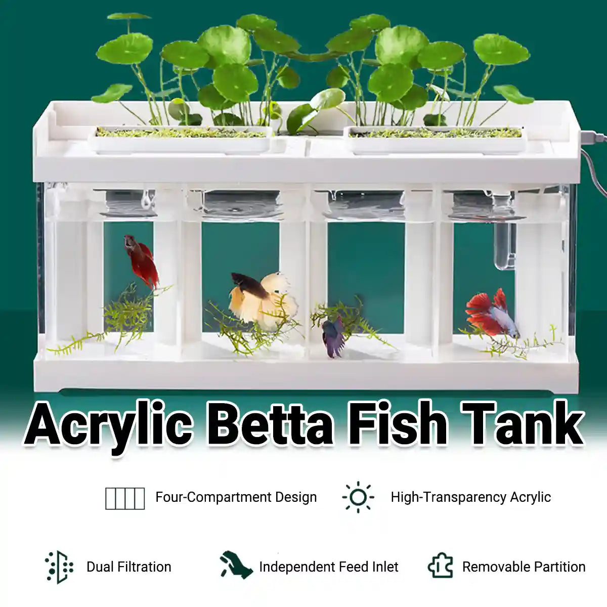 Acrylic Betta Fish Tank Four-Compartment Aquarium System