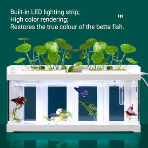 Acrylic Betta Fish Tank Four-Compartment Aquarium System