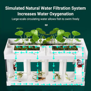 Acrylic Betta Fish Tank Four-Compartment Aquarium System