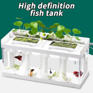 Acrylic Betta Fish Tank Four-Compartment Aquarium System