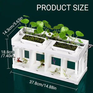 Acrylic Betta Fish Tank Four-Compartment Aquarium System
