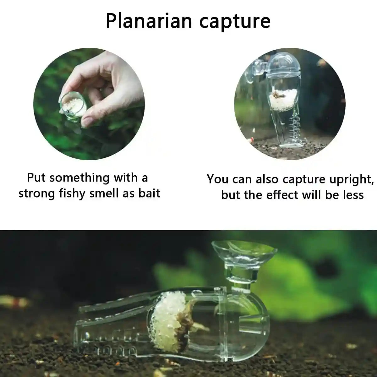 Acrylic Pants-Shaped Feeder for Fish Aquarium Live Food Feeder
