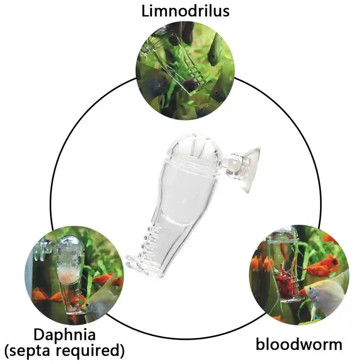 Acrylic Pants-Shaped Feeder for Fish Aquarium Live Food Feeder
