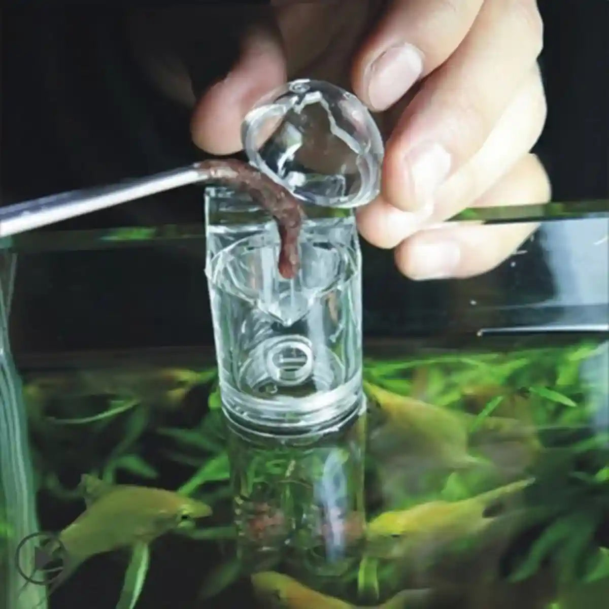 Acrylic Pants-Shaped Feeder for Fish Aquarium Live Food Feeder