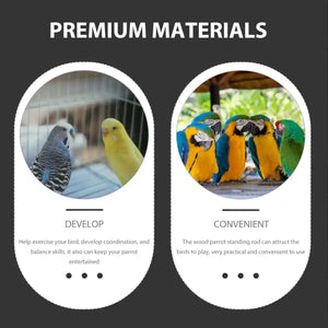 Acrylic Suction Cup Bird Stand