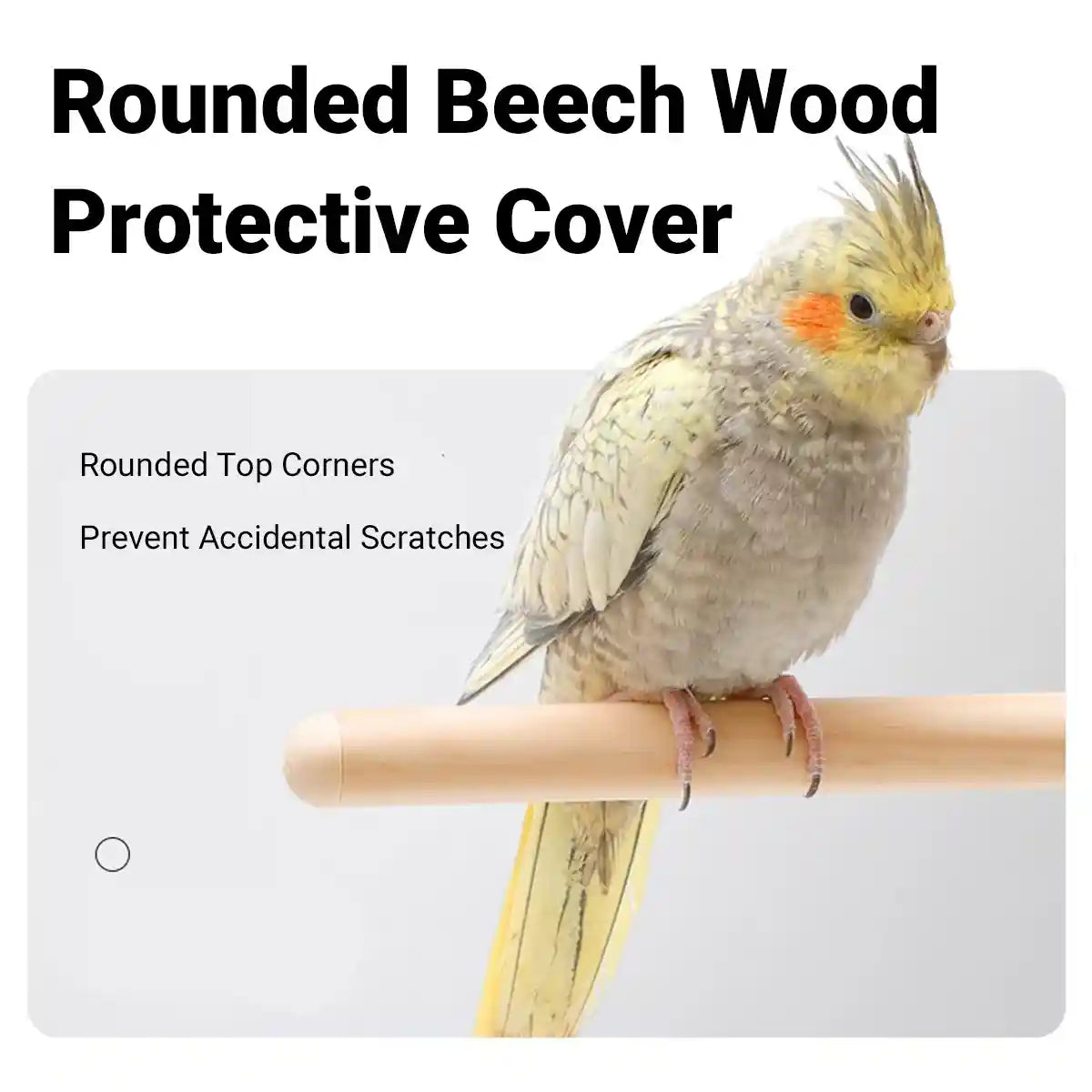 Acrylic Suction Cup Bird Stand