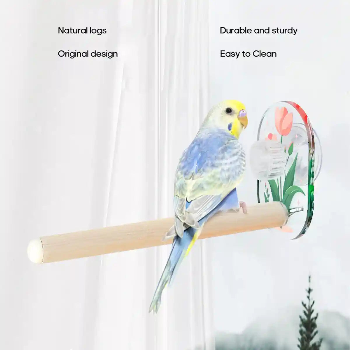 Acrylic Suction Cup Bird Stand