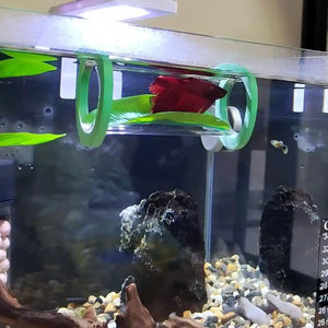 Betta Hammock Floating Aquarium Leaf Bed Shelter