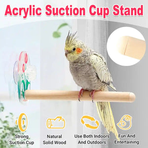 Acrylic Suction Cup Bird Stand