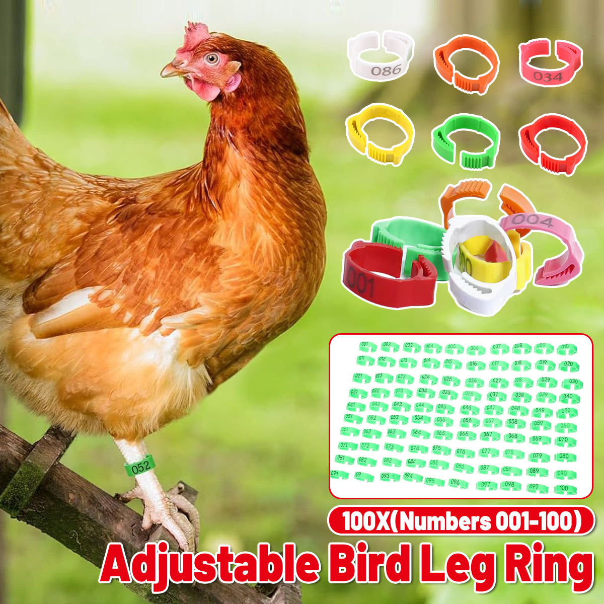 100PCS Adjustable Bird Leg Rings Numbered