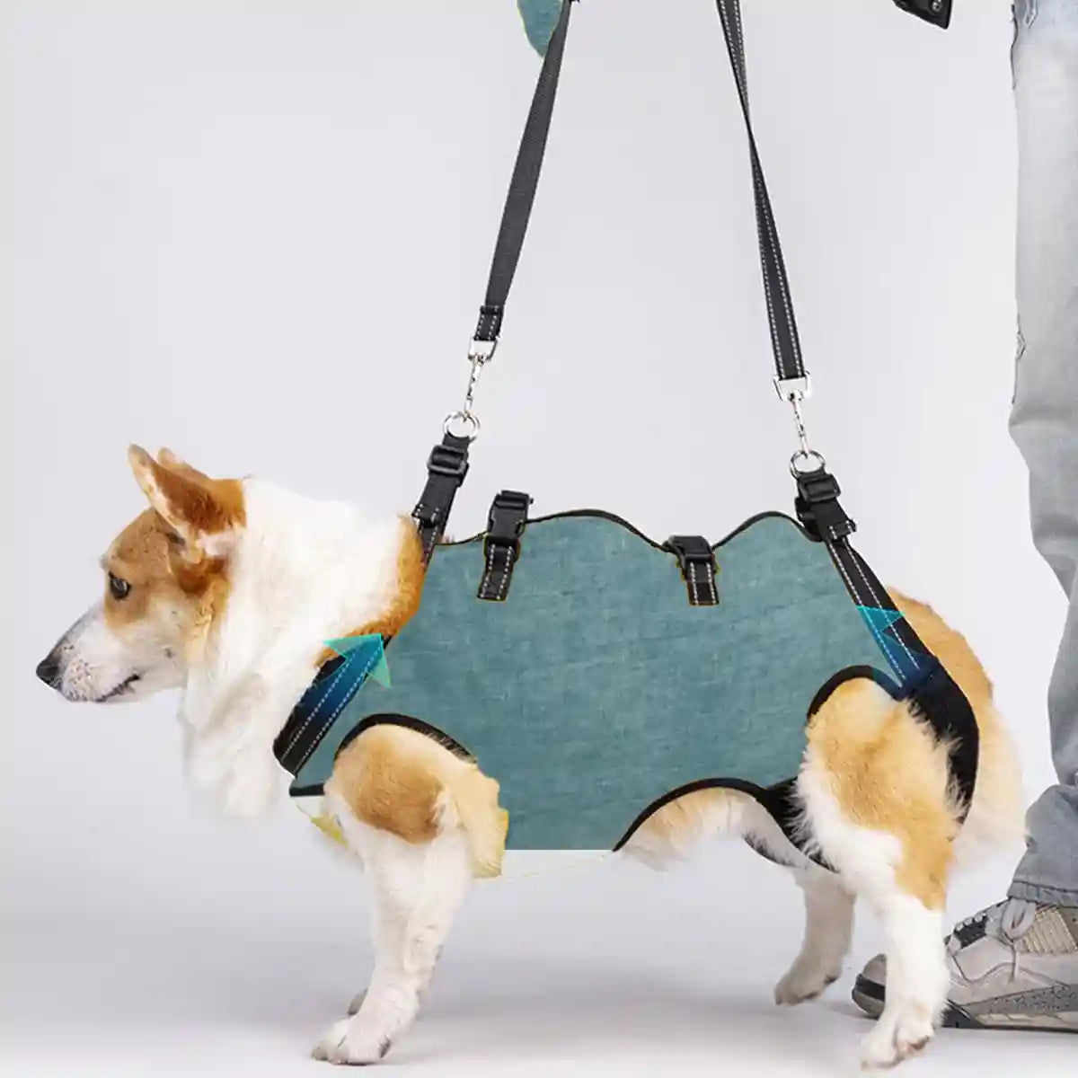 Adjustable Dog Harness Full-Body Support Lift Vest