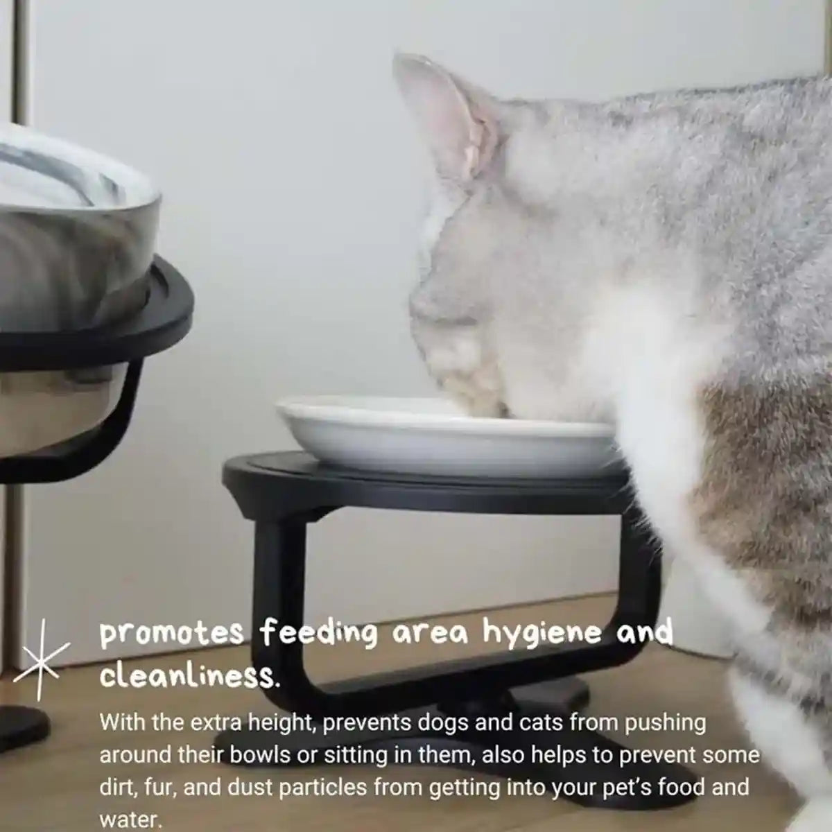Height Adjustable Pet Bowl Holder For Dogs & Cats