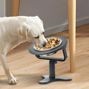 Height Adjustable Pet Bowl Holder For Dogs & Cats