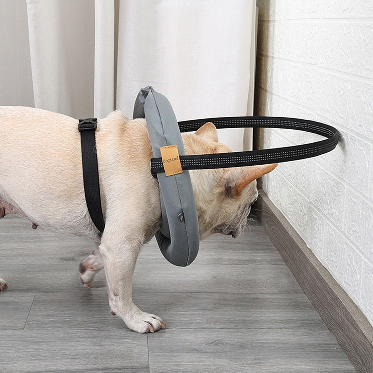 Adjustable Blind Dog Harness With Halo Collar