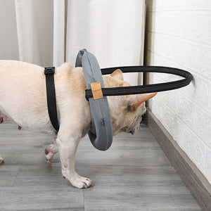 Adjustable Blind Dog Harness With Halo Collar