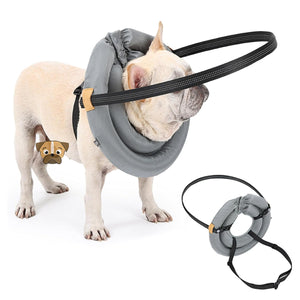 Adjustable Blind Dog Harness With Halo Collar