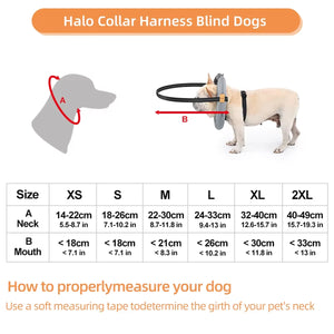 Adjustable Blind Dog Harness With Halo Collar