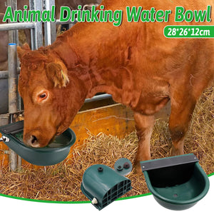 Livestock Water Bowl Cattle Waterer Sheep Horse Drinking Bowl Automatic Feeder