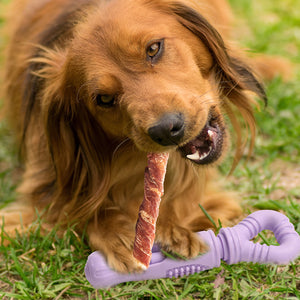 Dog Treat Holder Anti-Choking Chew Toy