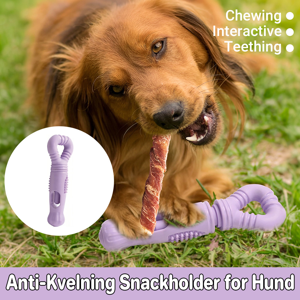 Dog Treat Holder Anti-Choking Chew Toy