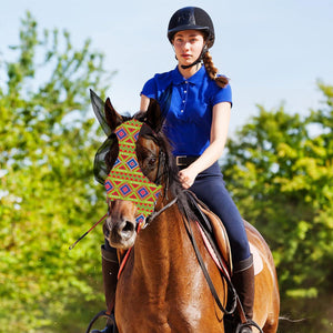 Colorful UV-Blocking Horse Mask with Mesh Eyes and Ear Covers