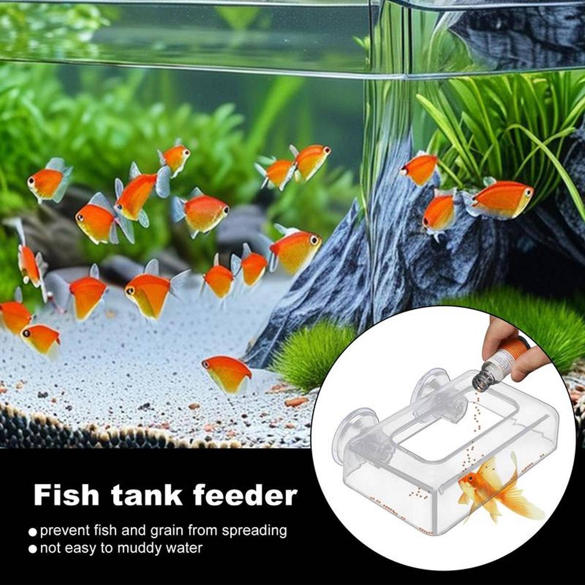 Aquarium Feeder Cup - Red Insect & Floating Fish Feeding Ring