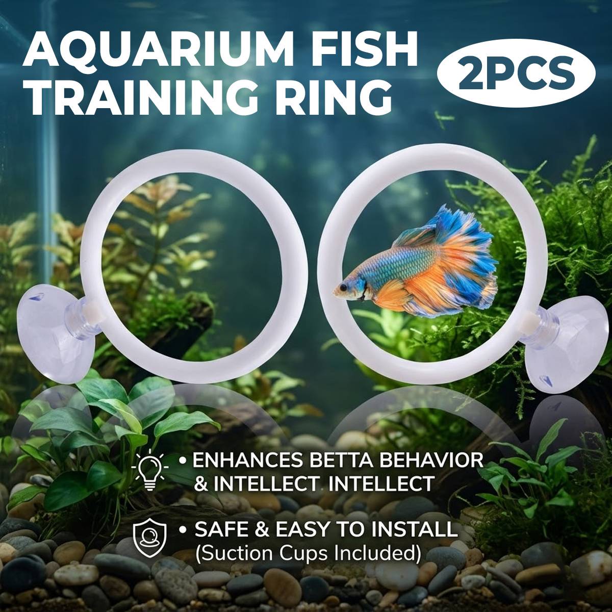 Betta Fish Training Ring 2PCS - Goldfish Show Practice Hoops