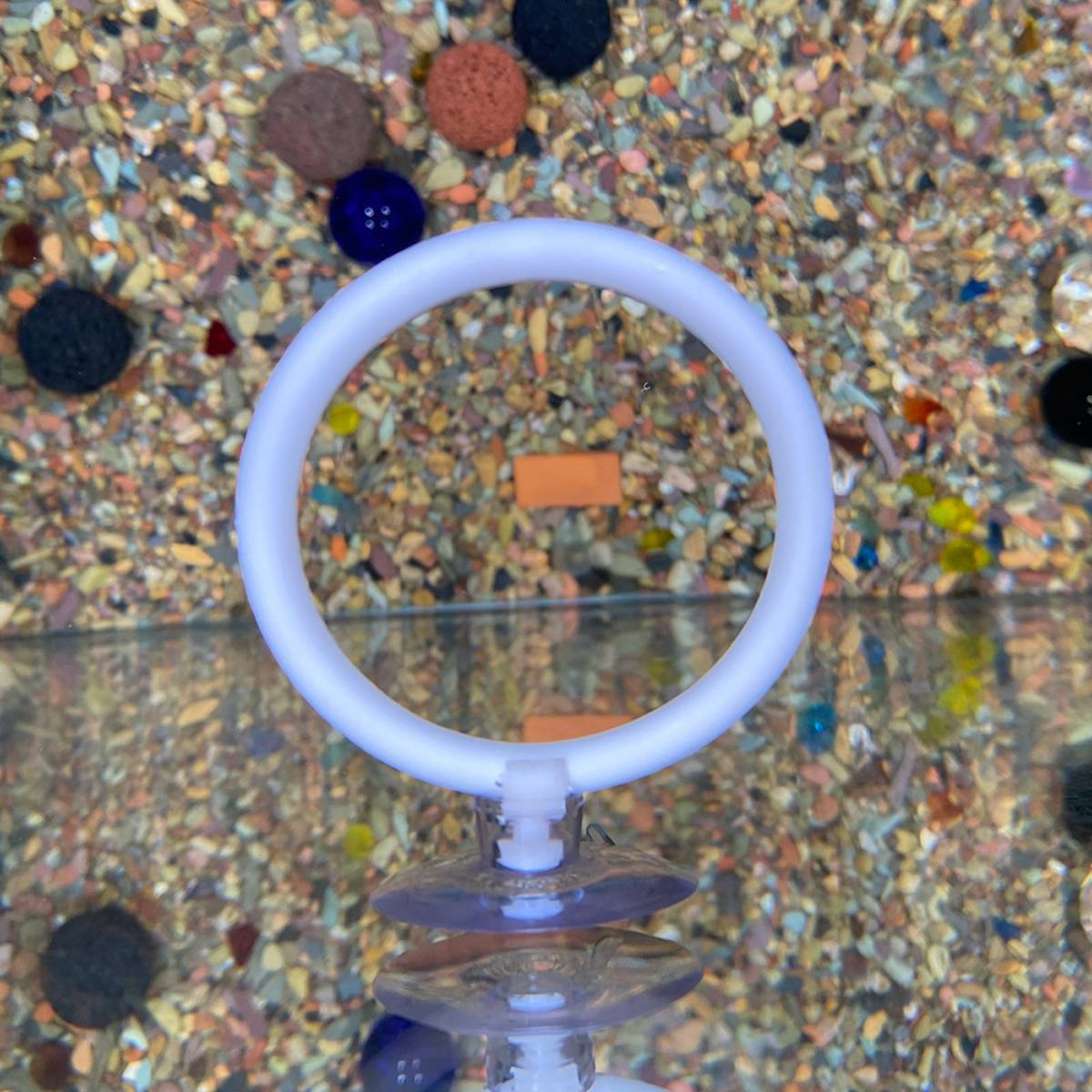 Betta Fish Training Ring 2PCS - Goldfish Show Practice Hoops