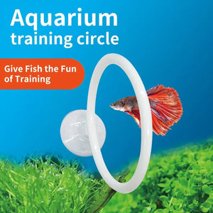 Betta Fish Training Ring 2PCS - Goldfish Show Practice Hoops