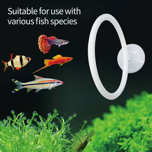 Betta Fish Training Ring 2PCS - Goldfish Show Practice Hoops